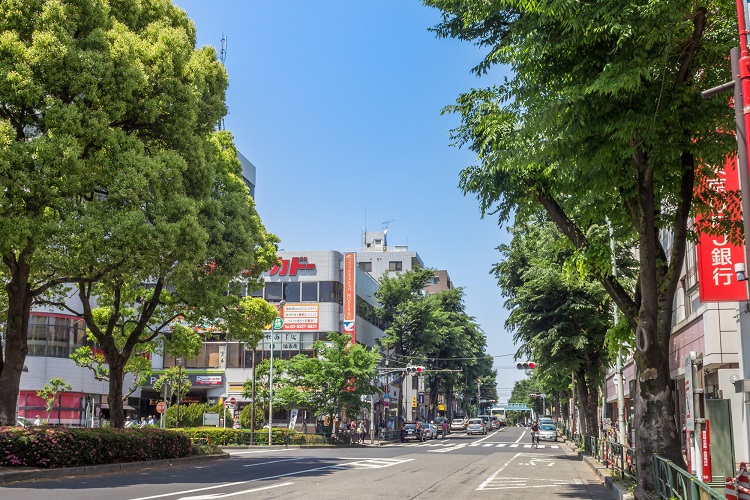 杉並区の北部に位置するエリア、それが「阿佐谷」エリアです。中央本線と東京メトロ丸ノ内線の2路線が利用可能で、東京や新宿、池袋、吉祥寺方面へ直接アクセスできます。アクセス性が高く都会的なエリアで、エリア内には、「阿佐ケ谷神明宮」などの有名スポットや「阿佐谷パールセンター商店街」などのお買い物スポットがあります。また、「阿佐谷中央公園」など、自然を感じられるスポットもあります。