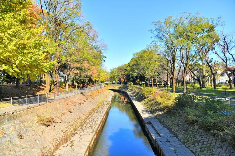 杉並区の中央部に位置するエリア、それが「成田」エリアです。東京メトロ丸ノ内線が利用可能で、東京や新宿、池袋方面へ直接アクセスできます。自然を感じられて落ち着いているエリアで、エリア内には、「善福寺川緑地」などの散策スポットや「成田図書館」などの文化施設があります。また、「成田西ふれあい農業公園」など、自然を感じられるスポットもあります。