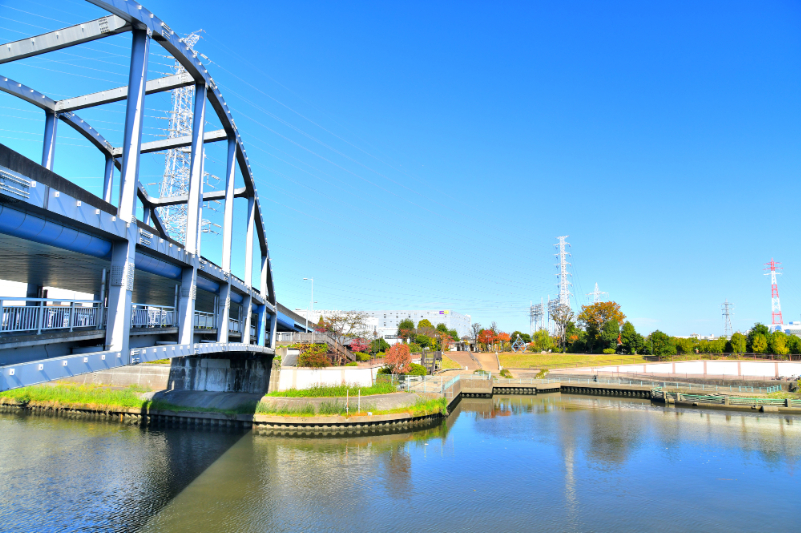 板橋区立舟渡水辺公園