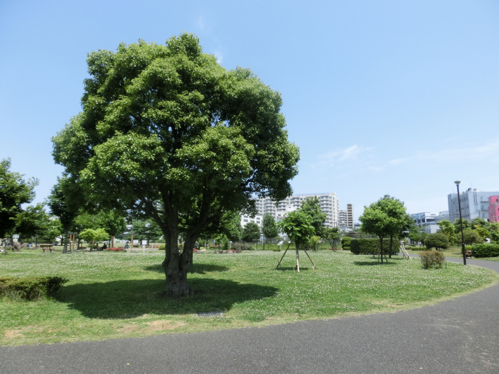 東糀谷防災公園