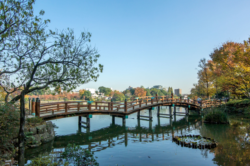 洗足池公園