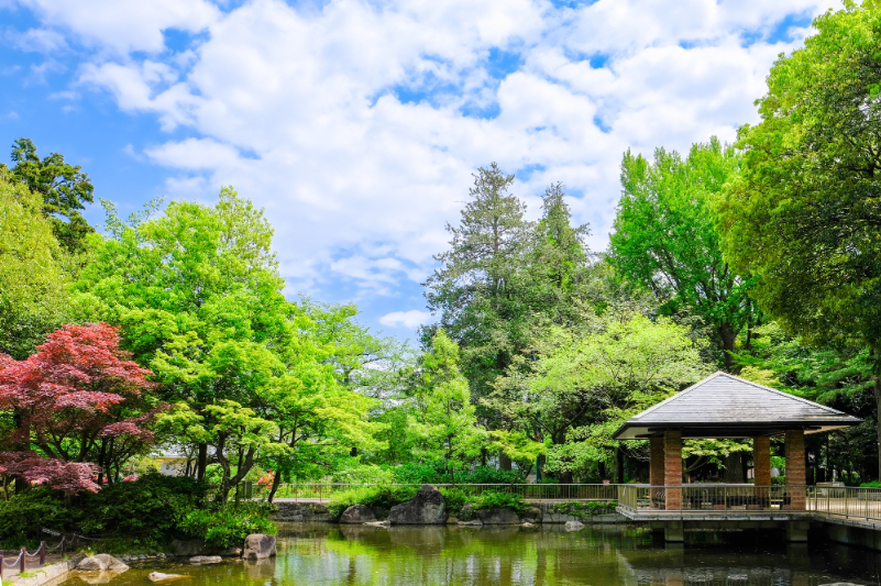 蚕糸の森公園