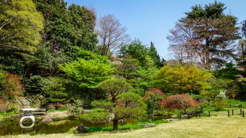 菅刈公園