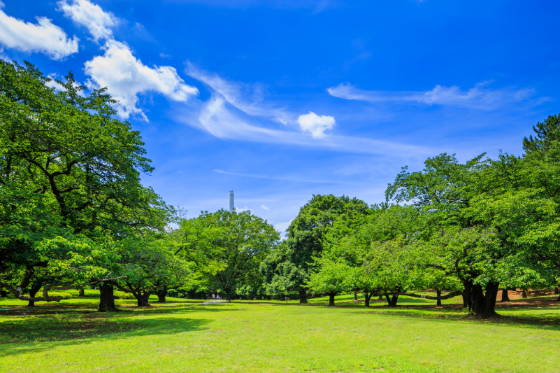 東京　練馬区　光が丘公園の風景