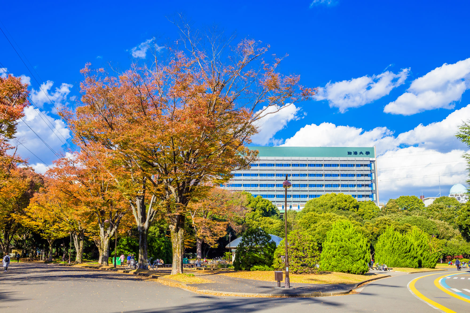 駒沢オリンピック公園の紅葉と駒澤大学