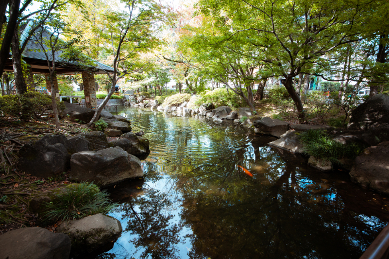 馬橋公園