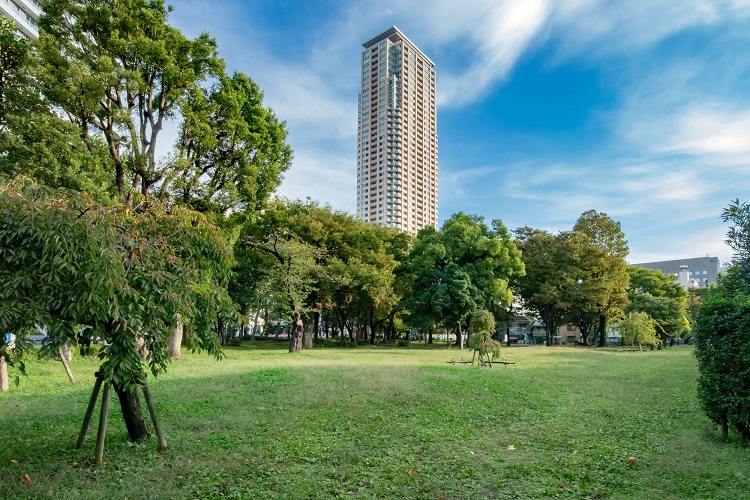 東京都立青山公園