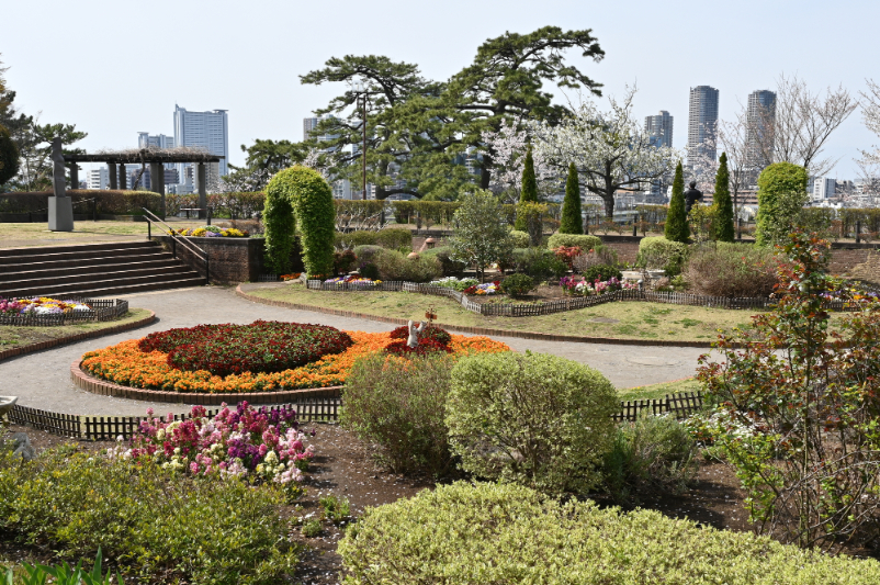 多摩川台公園の広場