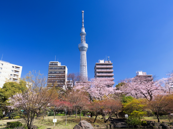 隅田公園と東京スカイツリー