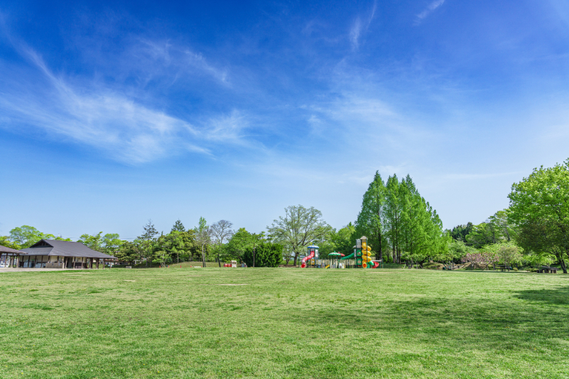 公園の景色