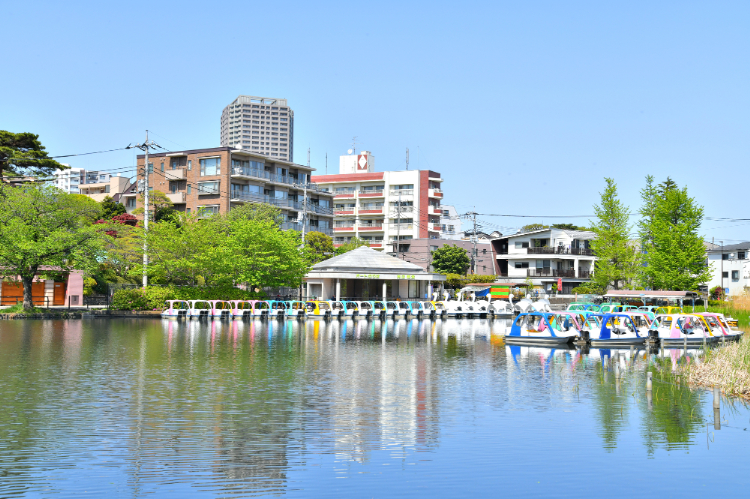 石神井公園