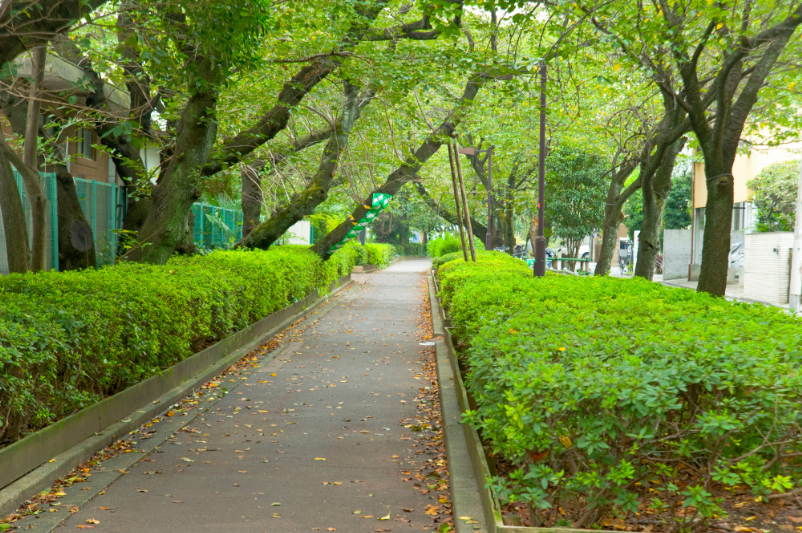 世田谷区立蛇崩川緑道