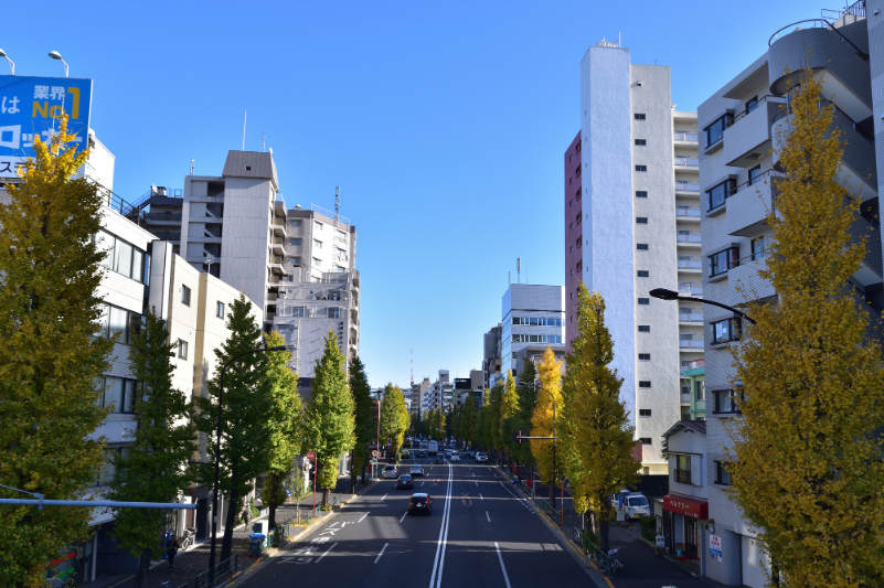 青梅街道の風景