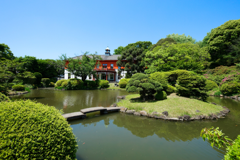 小石川植物園の博物館と水辺の緑