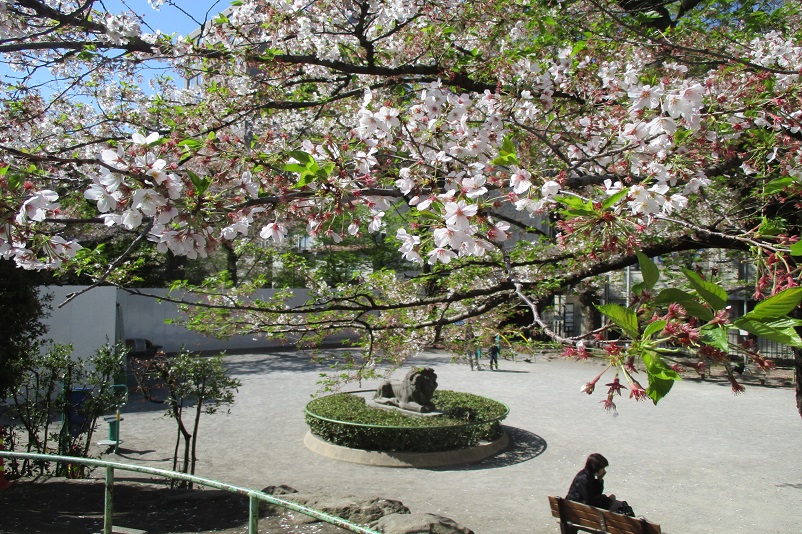 東郷元帥記念公園