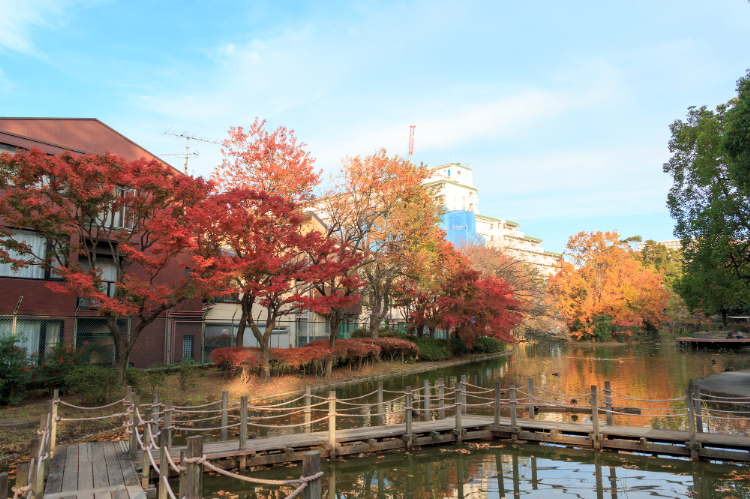 平和の森公園