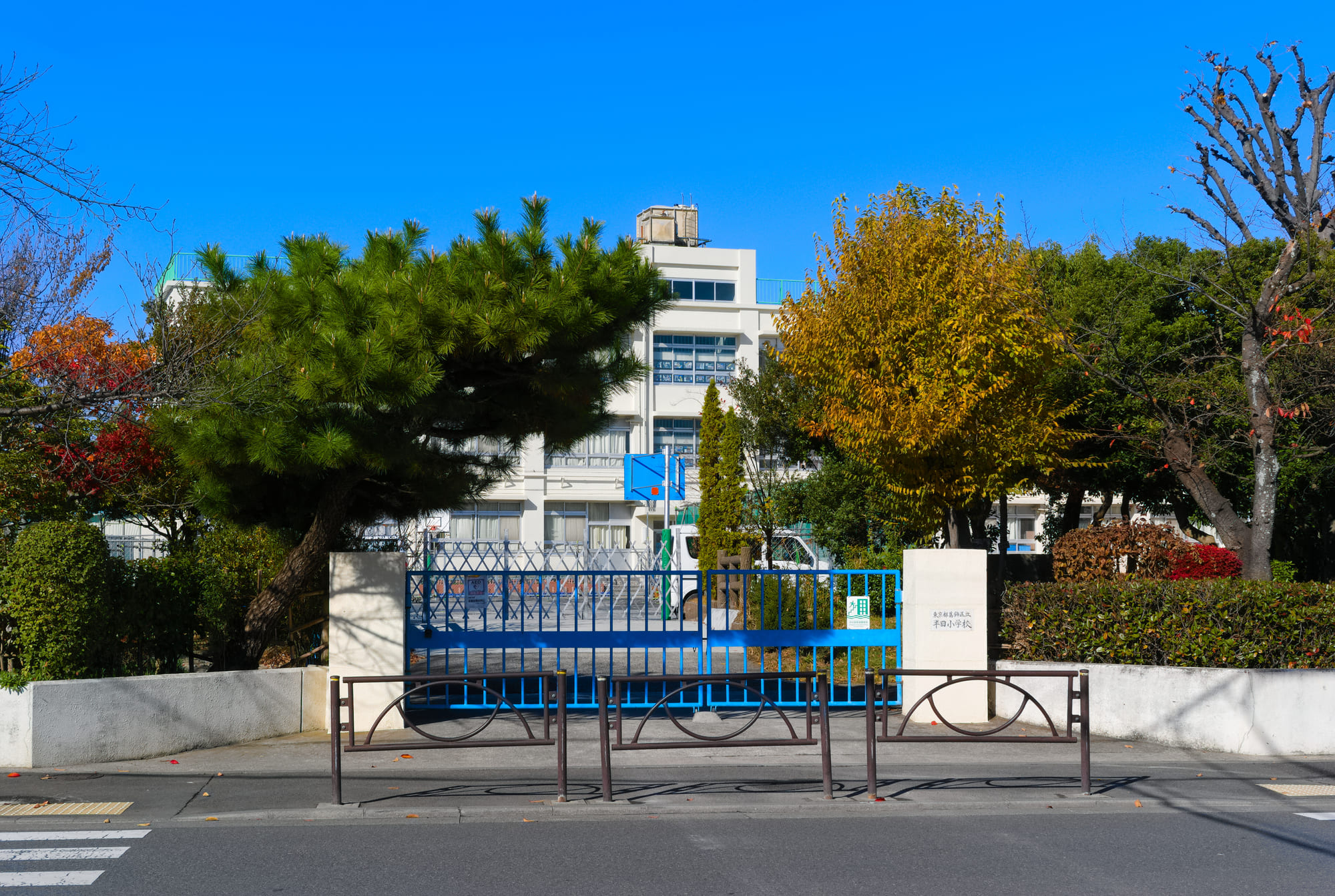 区立半田小学校