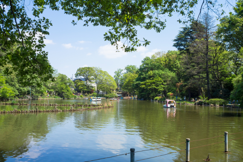 善福寺公園