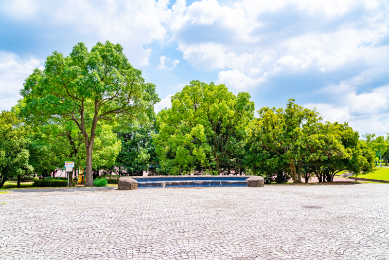 広い公園のイメージ