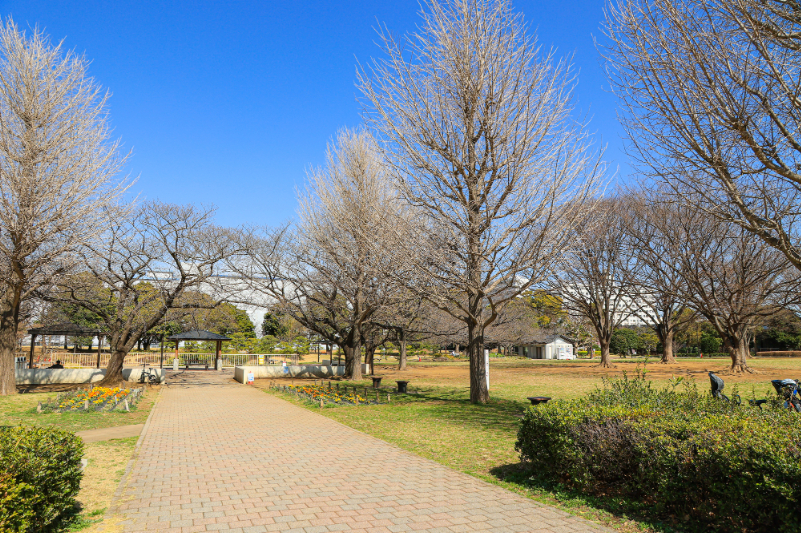 亀戸中央公園