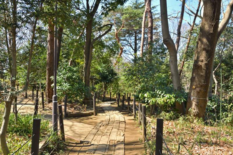 駒場野公園