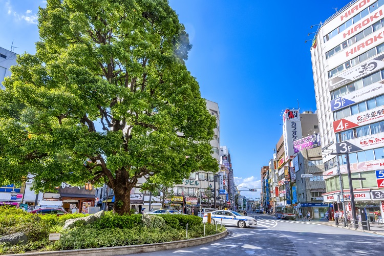 蒲田駅周辺