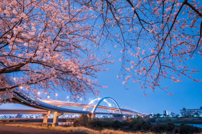 五色桜大橋