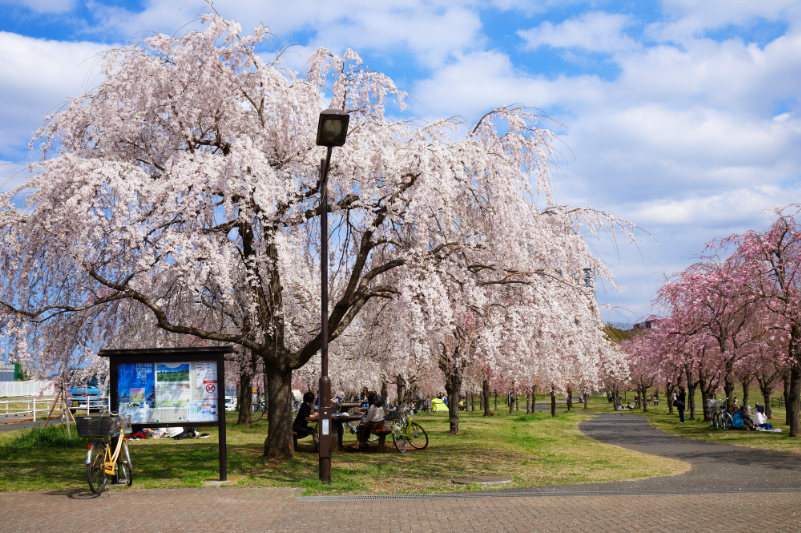 尾久の原公園