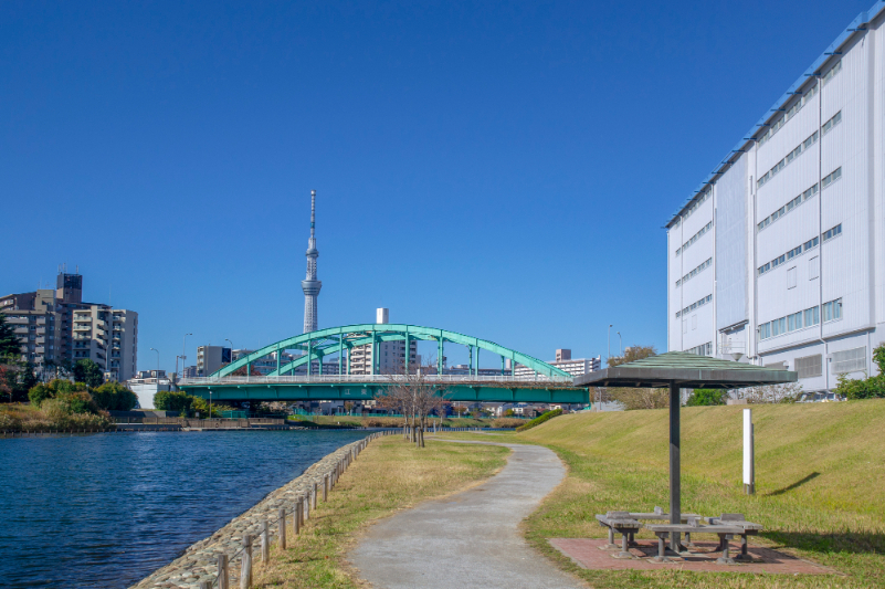 東京スカイツリーと旧中川付近の街並み