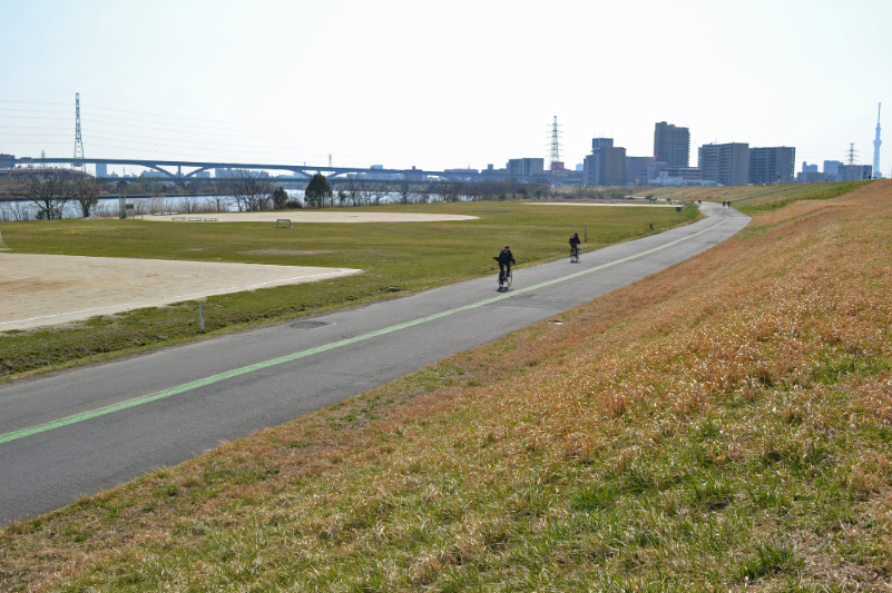 荒川河川敷のサイクリングロード