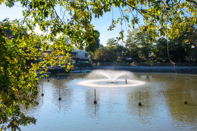 碑文谷公園