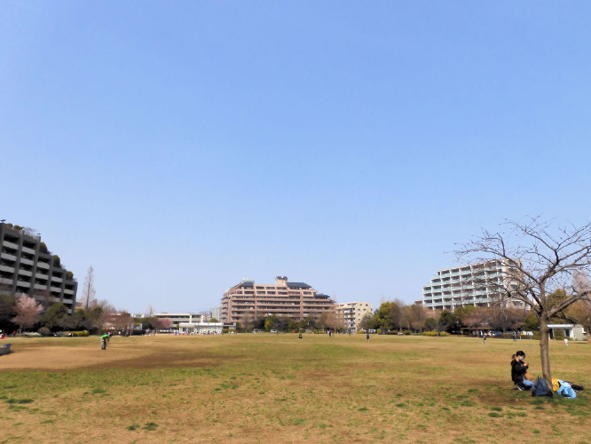 桃井原っぱ公園