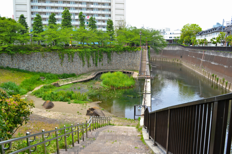 音無もみじ緑地