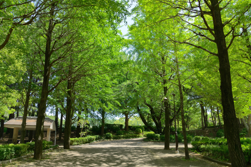 城北中央公園