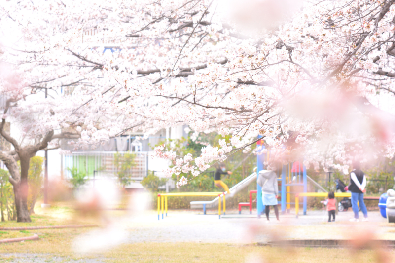 公園のイメージ