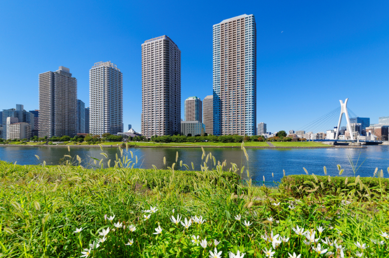 越中島公園から見える高層マンション