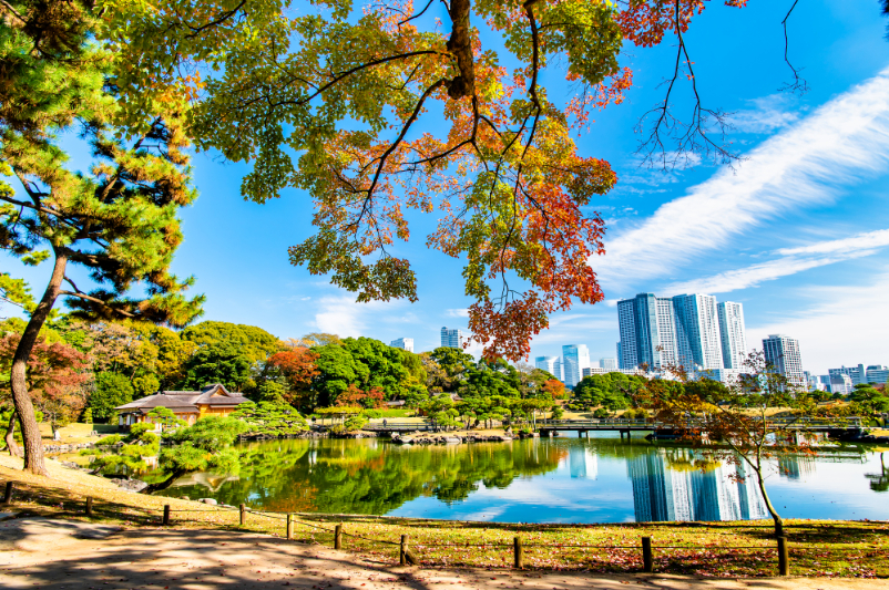 浜離宮恩賜庭園