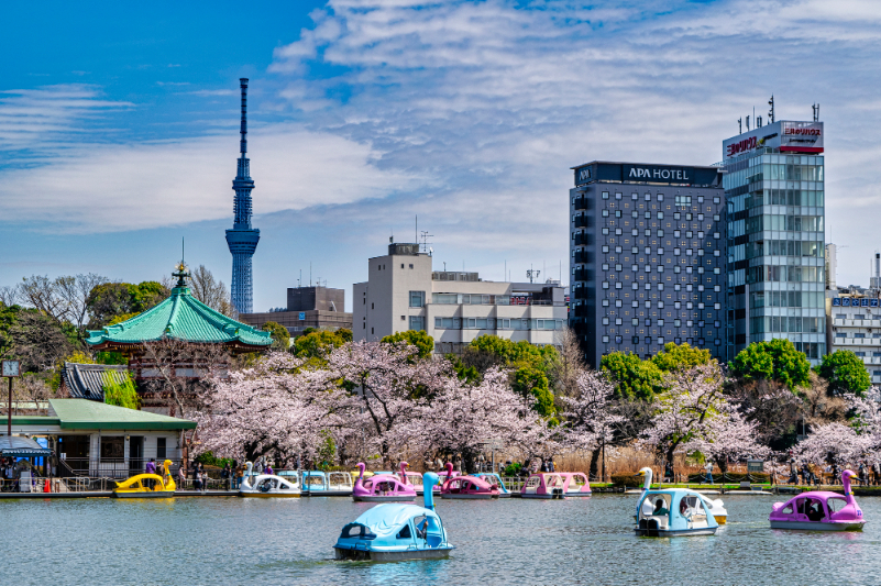 上野恩賜公園のボート池