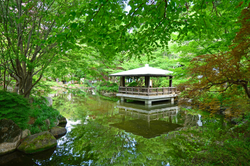 井草森公園