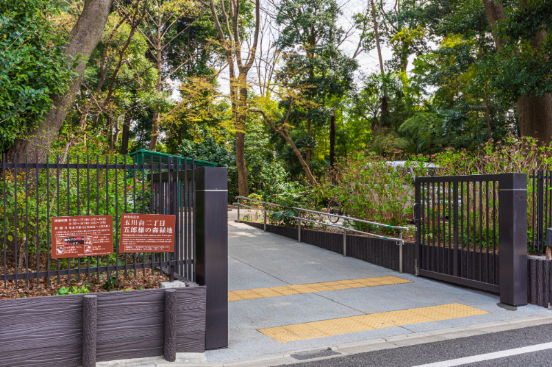 五郎様の森緑地