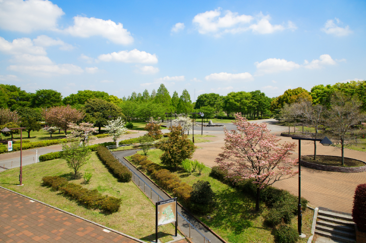 舎人公園