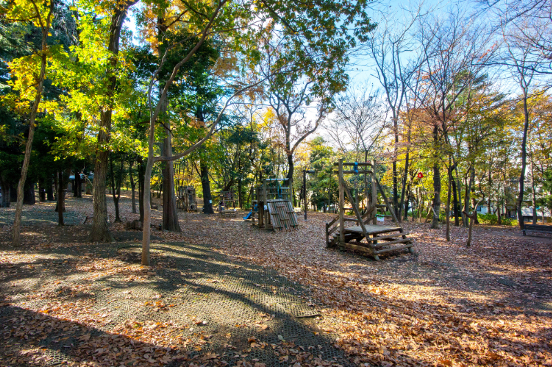 林試の森公園