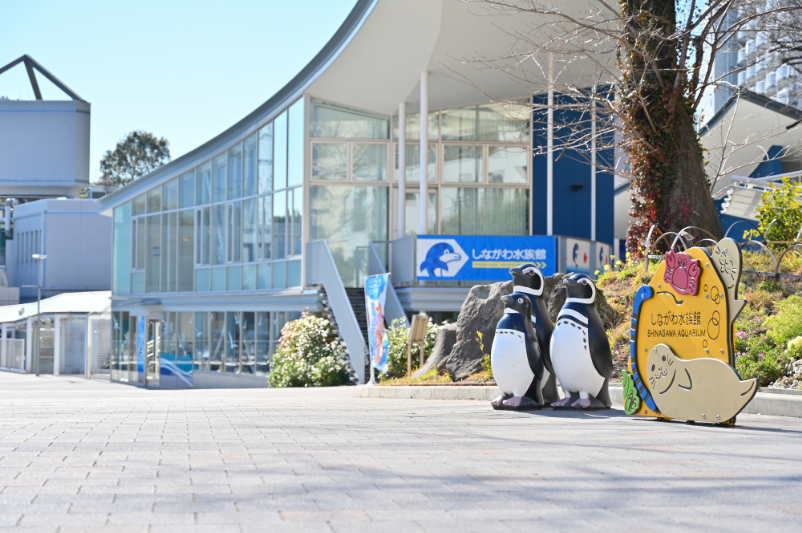 しながわ水族館