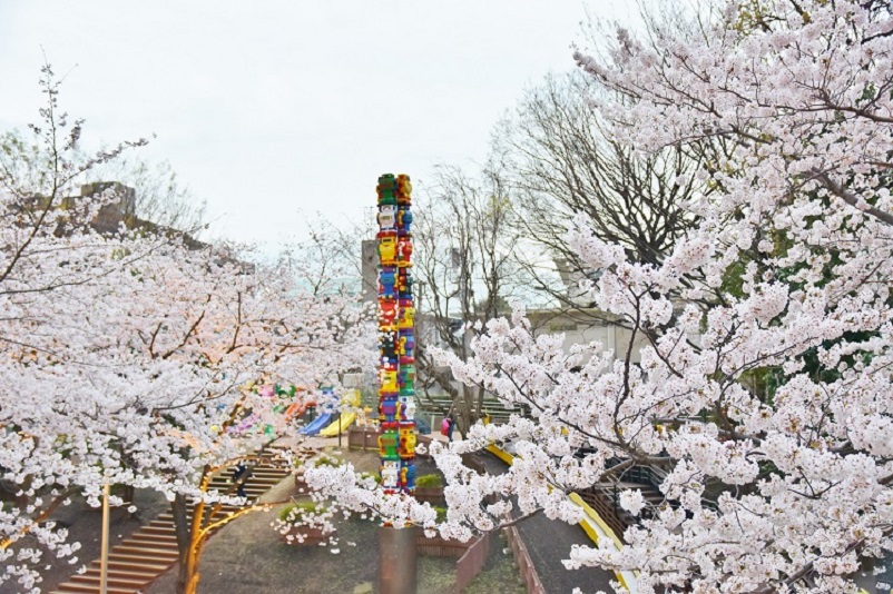 六本木さくら坂の桜