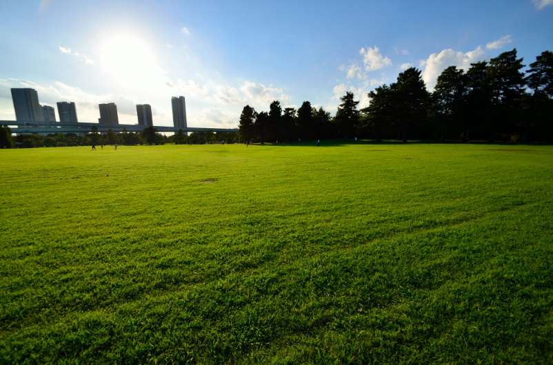 辰巳の森海浜公園