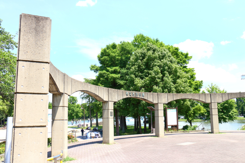 水元公園の菖蒲まつり