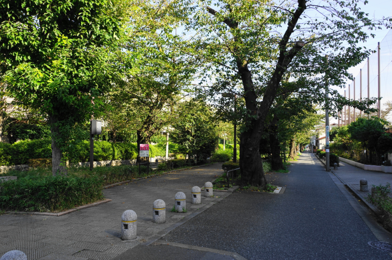 呑川柿の木坂支流緑道