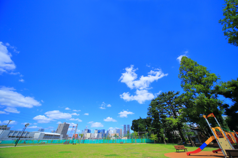 南台いちょう公園