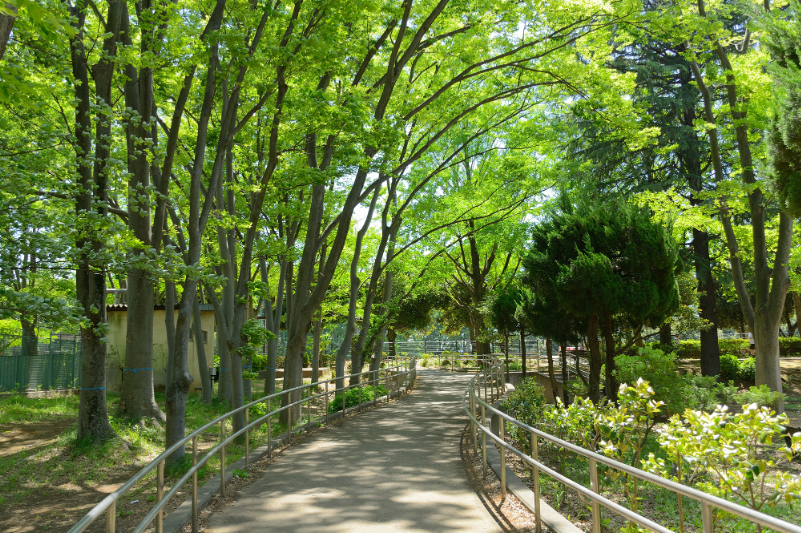 城北中央公園