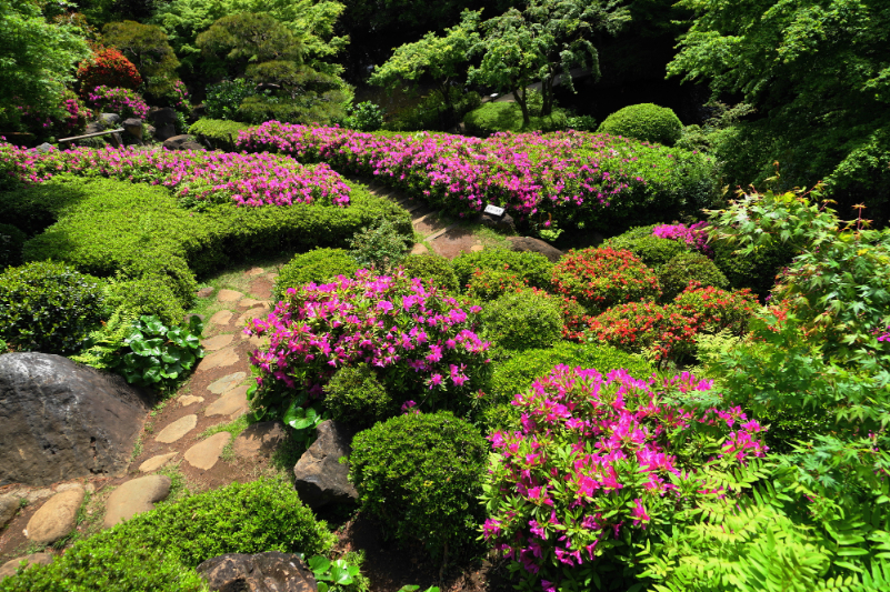 池田山公園